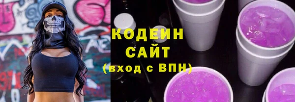 индика Зеленодольск