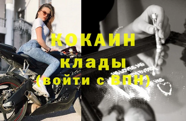 сатива Заволжье