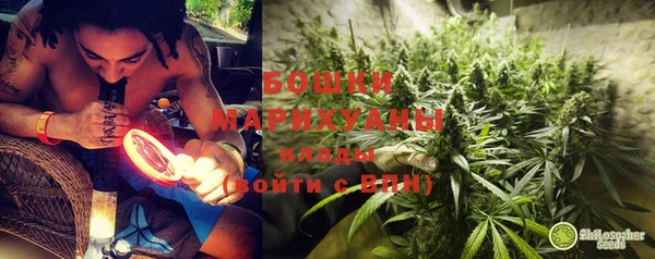 молекула духа Заводоуковск