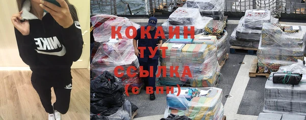 сатива Заволжье