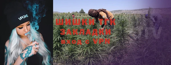 индика Зеленодольск