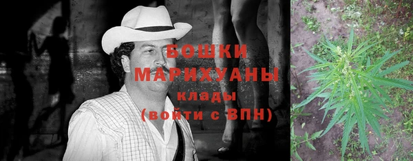 молекула духа Заводоуковск